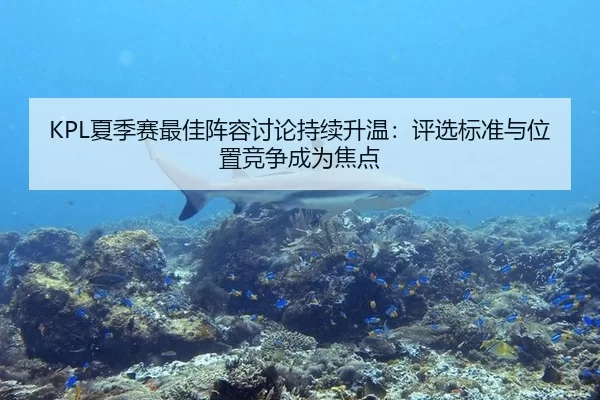 KPL夏季赛最佳阵容讨论持续升温：评选标准与位置竞争成为焦点
